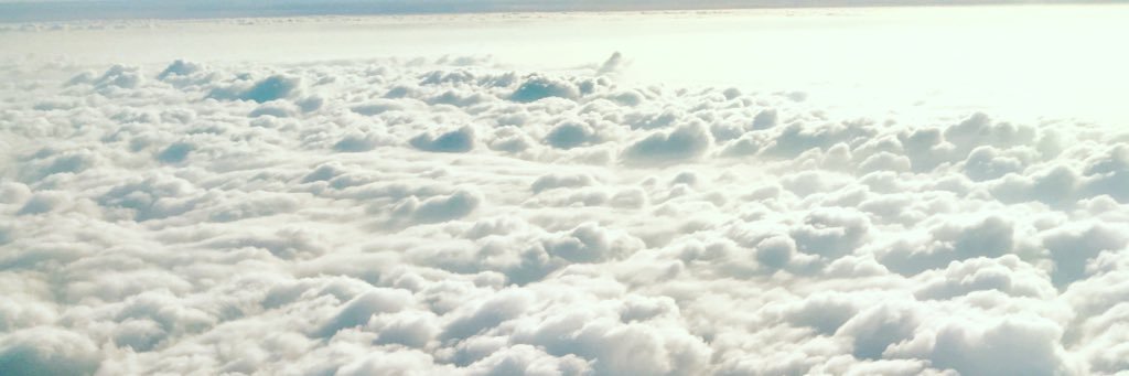 Jordi Lippe-McGraw banner