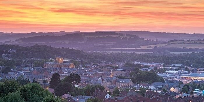 Thomas McAlindon banner