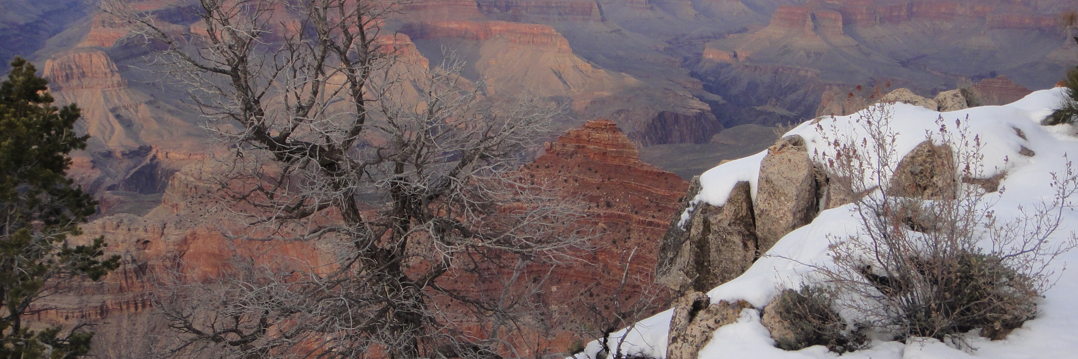 aj_efc's profile banner image