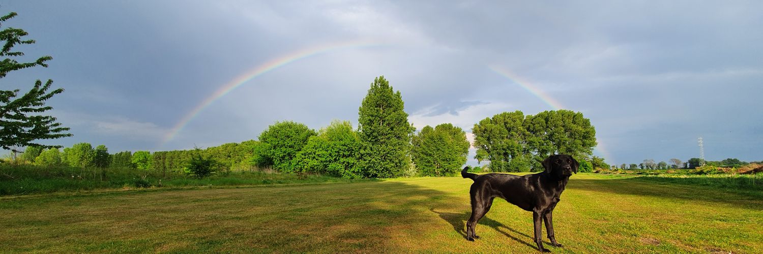 sroscoe1's profile banner image