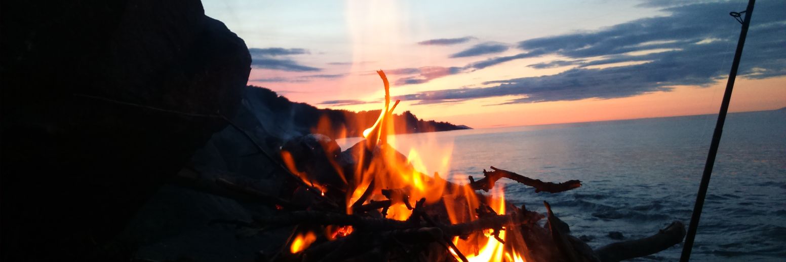 murraytelecast's profile banner image