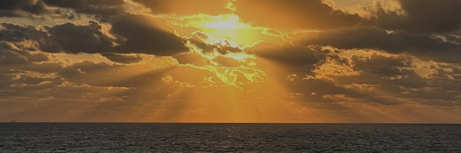 FrostyPhenix's profile banner image