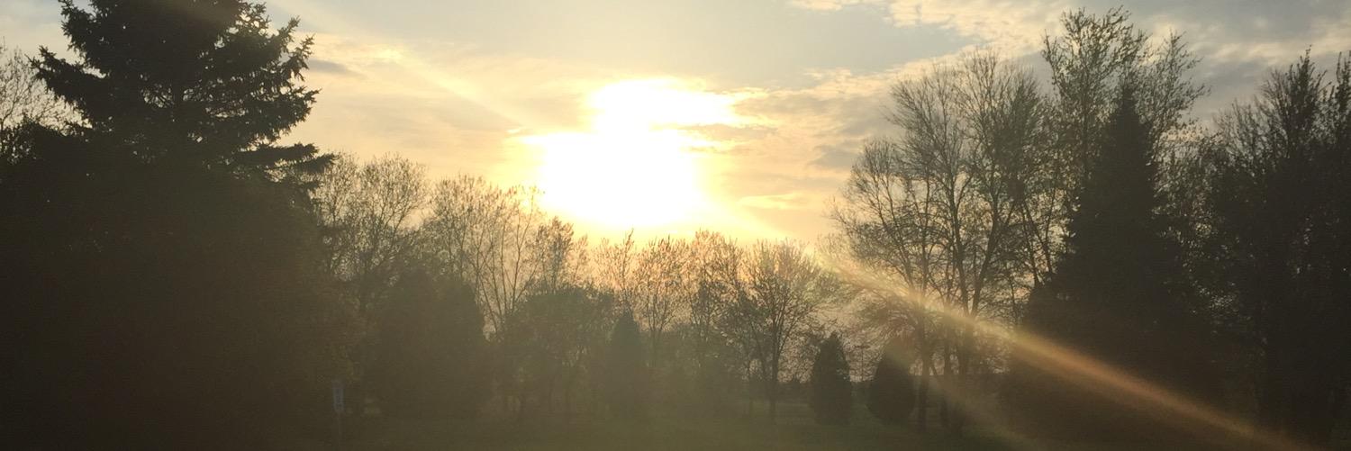 Kari Seefeldt banner