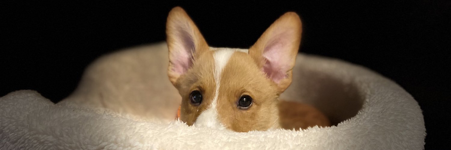 AsherAldrich's profile banner image