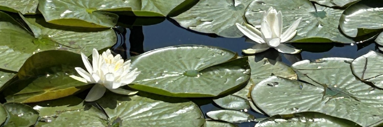 Michael Williams banner