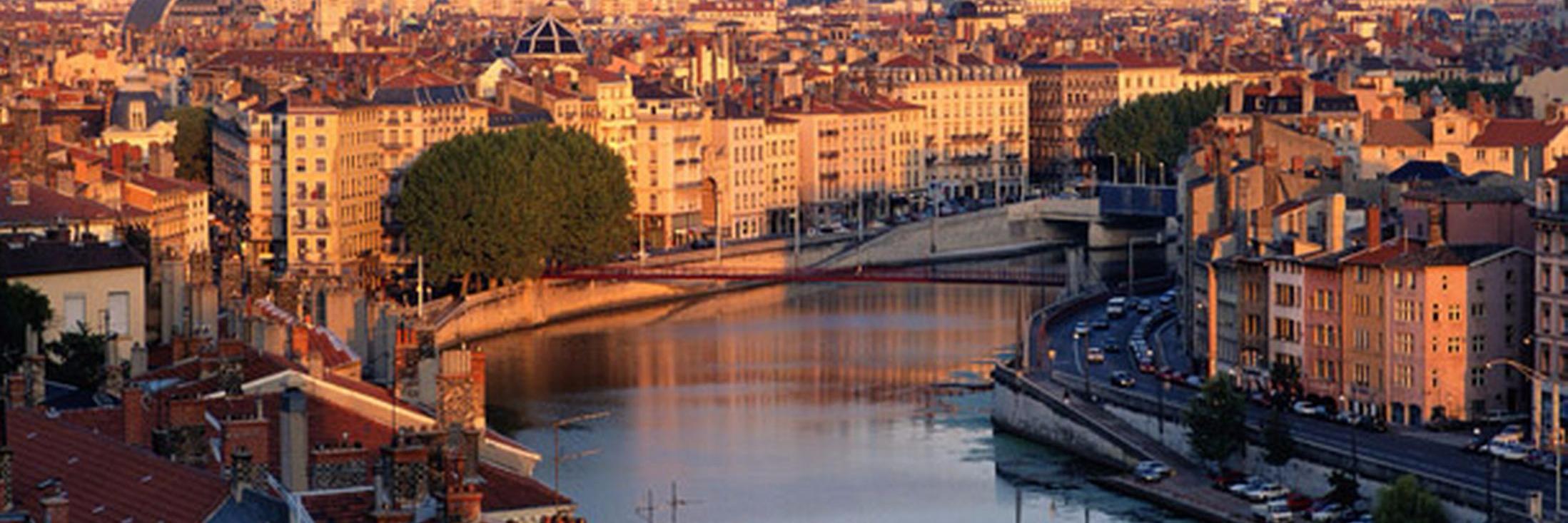 elyselupin's profile banner image