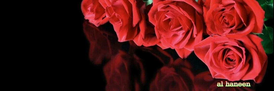 amasyalkald's profile banner image
