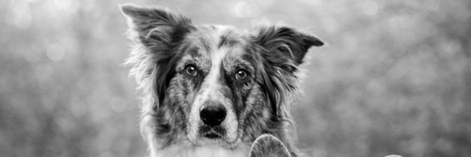 Bea_Prieto7's profile banner image