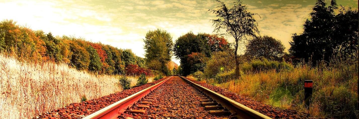 Stef_Forc's profile banner image