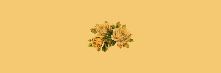 caro_ball's profile banner image