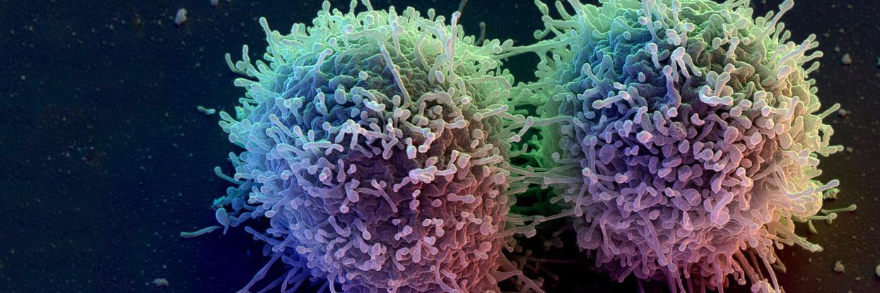 Science Translational Medicine's banner