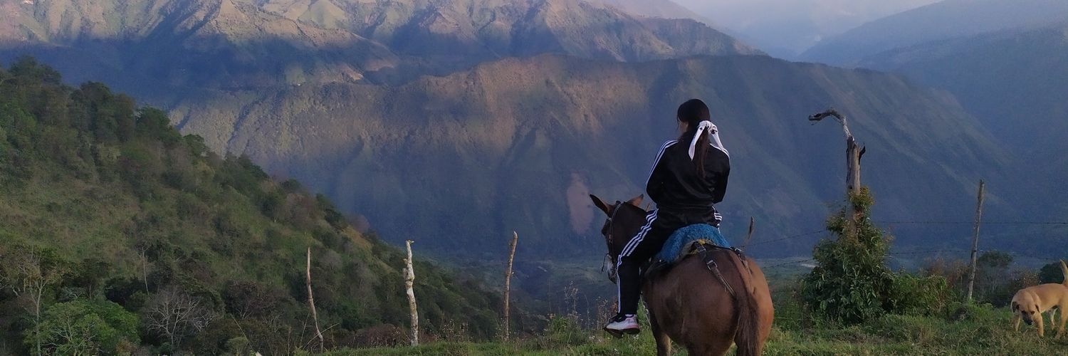 mapu_munoz's profile banner image