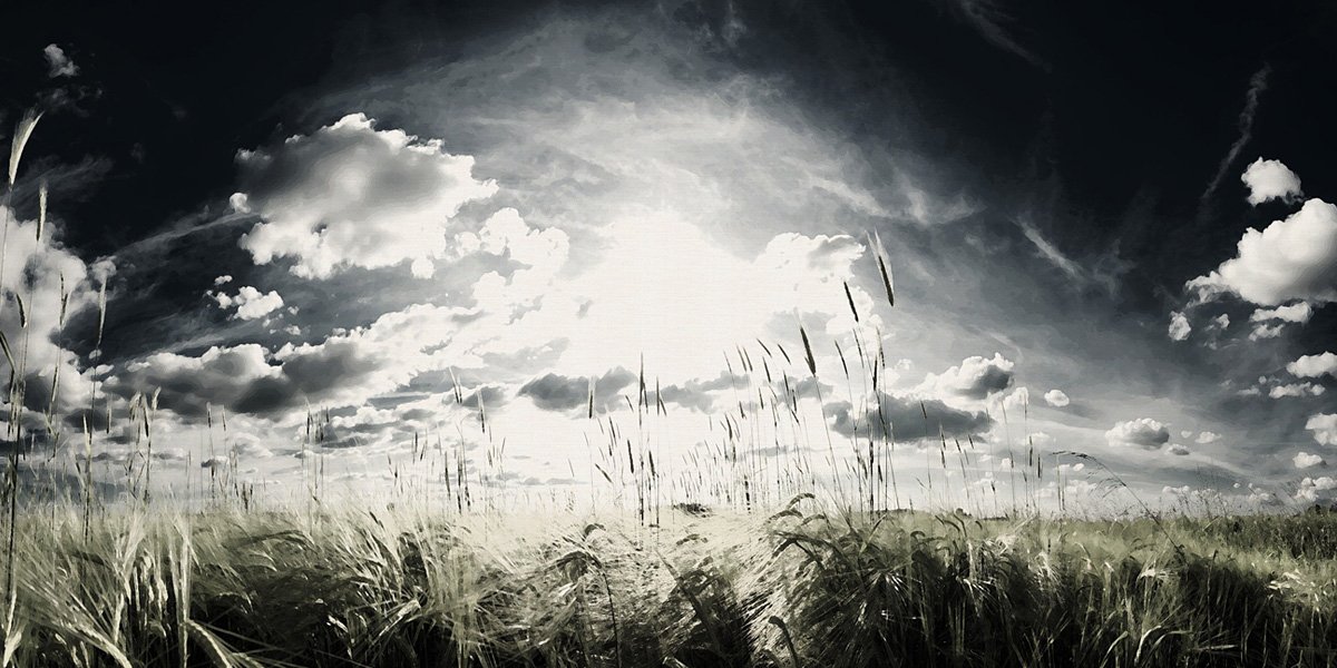 aym_s22's profile banner image