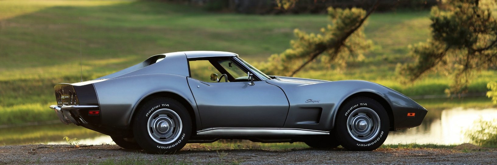 SilverOverdrive's profile banner image