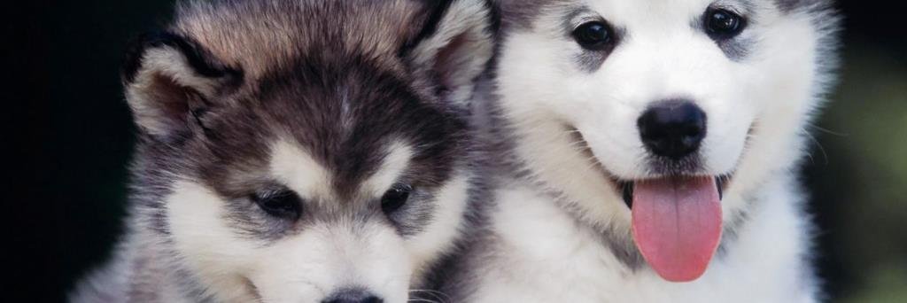 LexTaylor5's profile banner image