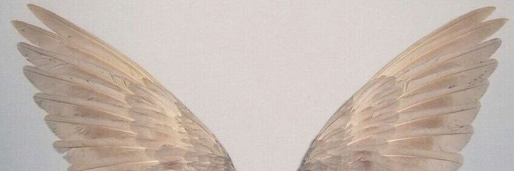 keylamsch's profile banner image