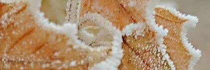 cxrson_'s profile banner image