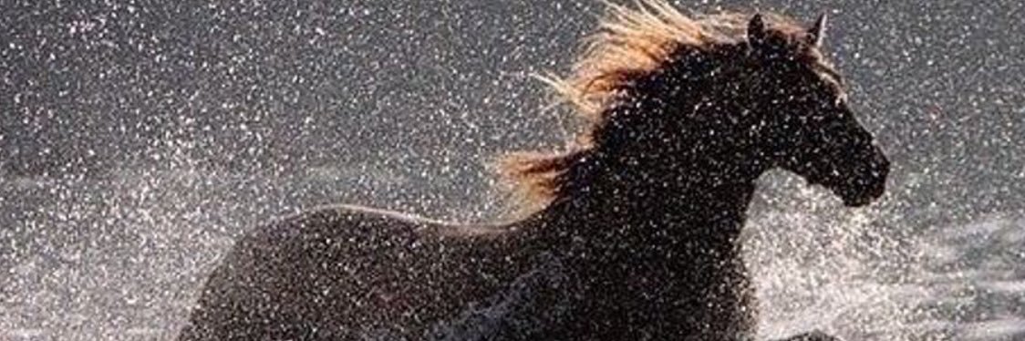 aw2w2's profile banner image