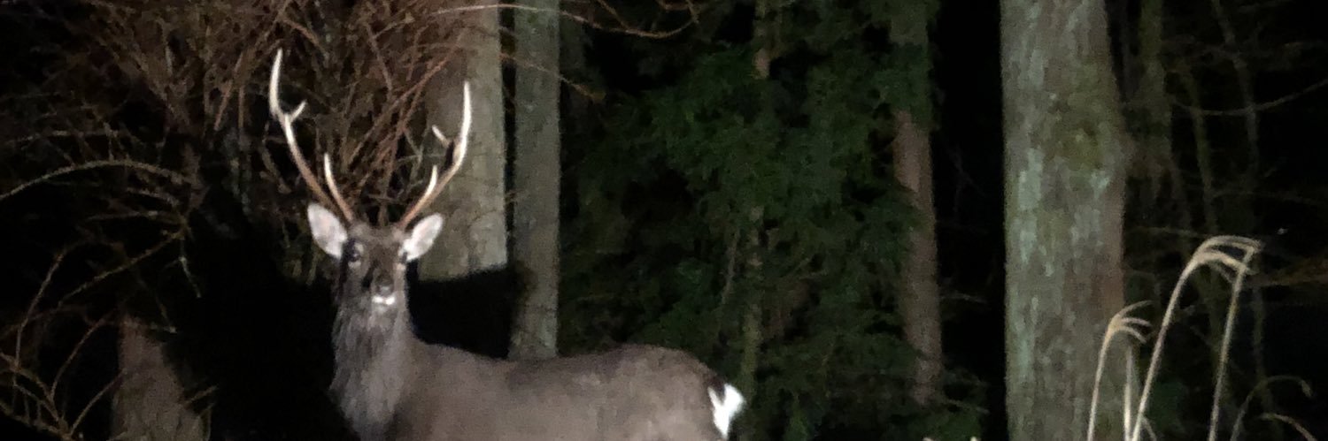 wmb30's profile banner image
