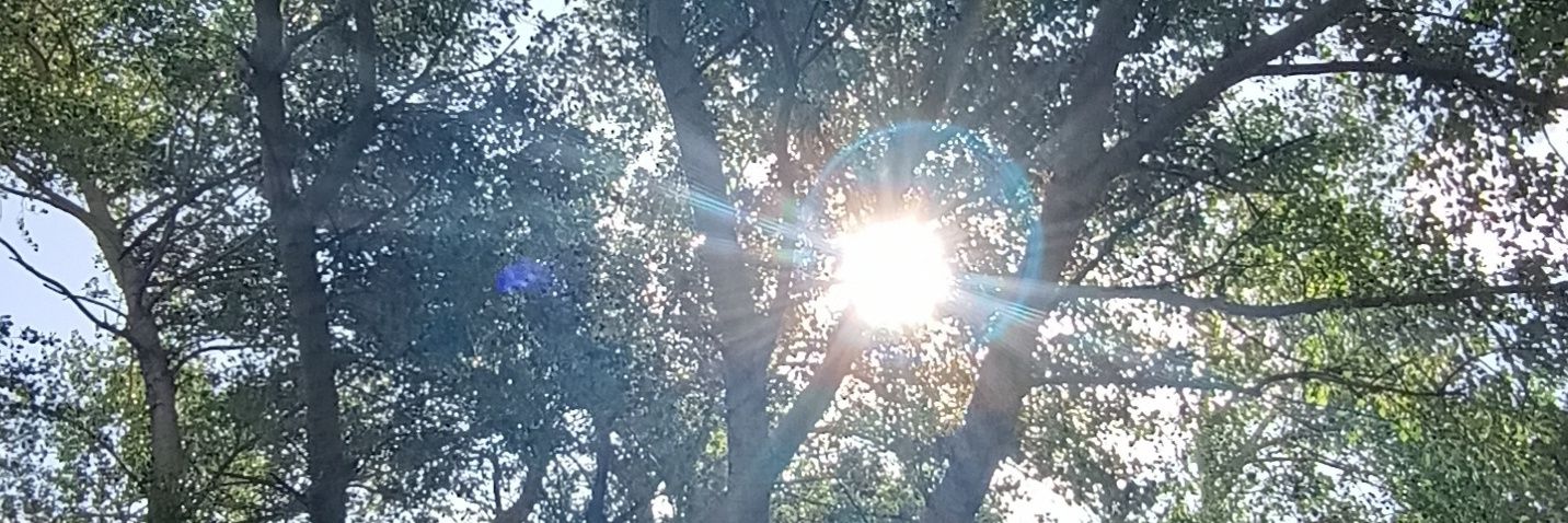 NormaEGonzalez's profile banner image