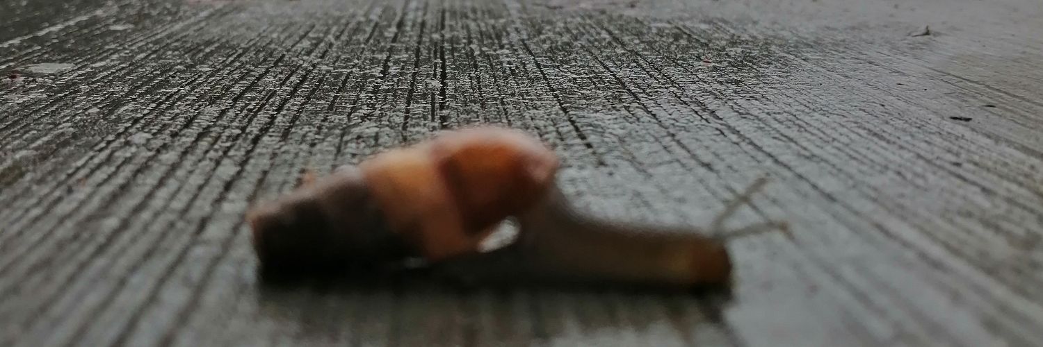 monmm_s's profile banner image