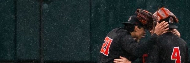 Orange'n Black banner