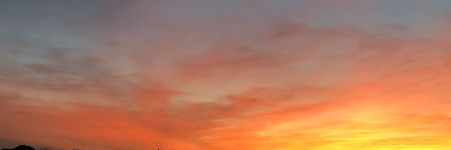 ohmilentas's profile banner image