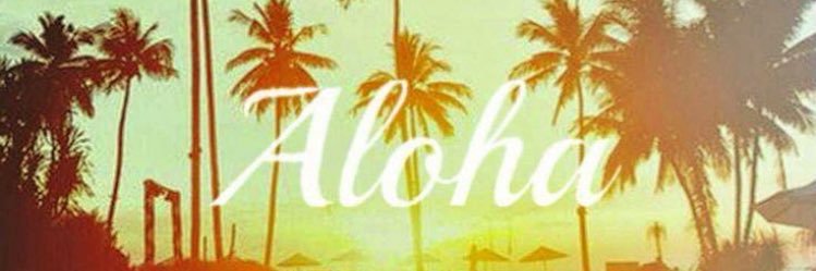 jin_lbs's profile banner image