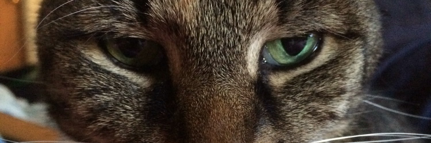 dexrasena's profile banner image