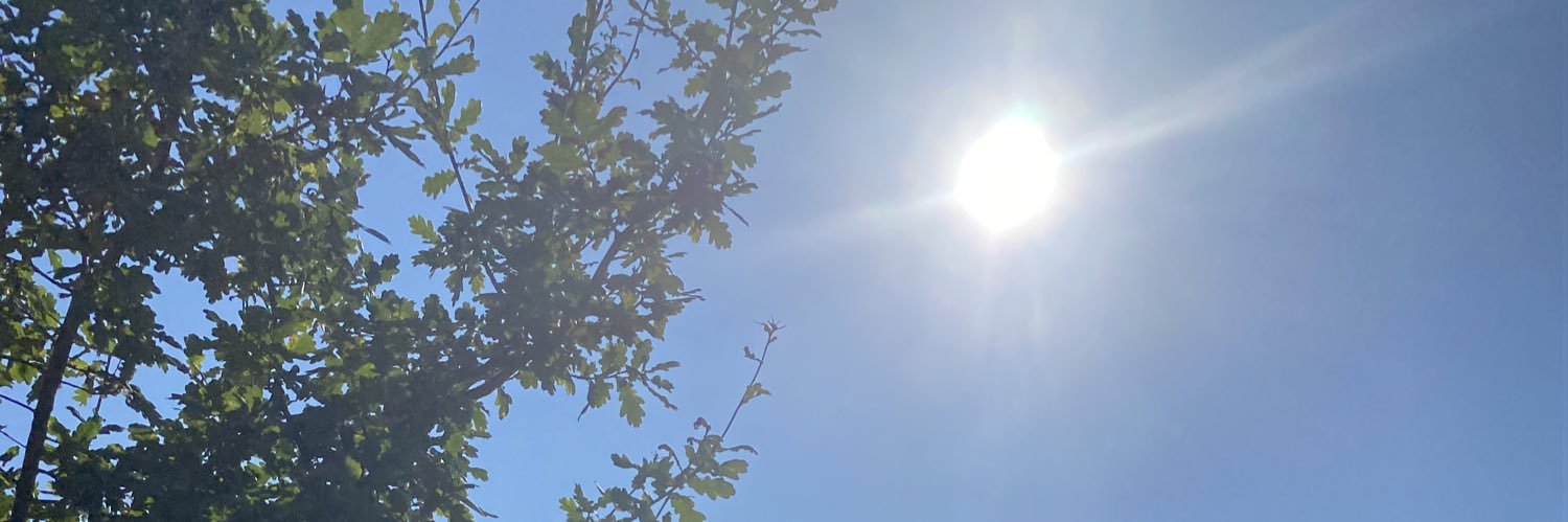 Vishnee Sauntoo 💙 banner