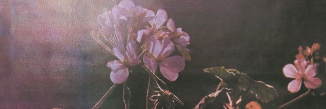 wellthatsthat__'s profile banner image