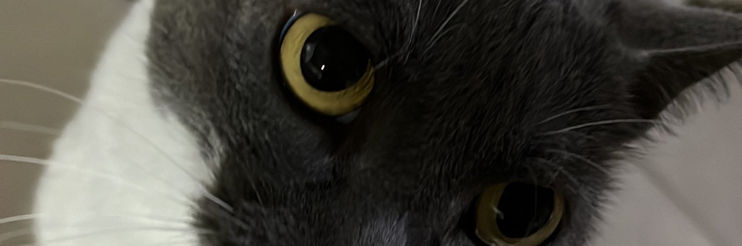 semhgus's profile banner image