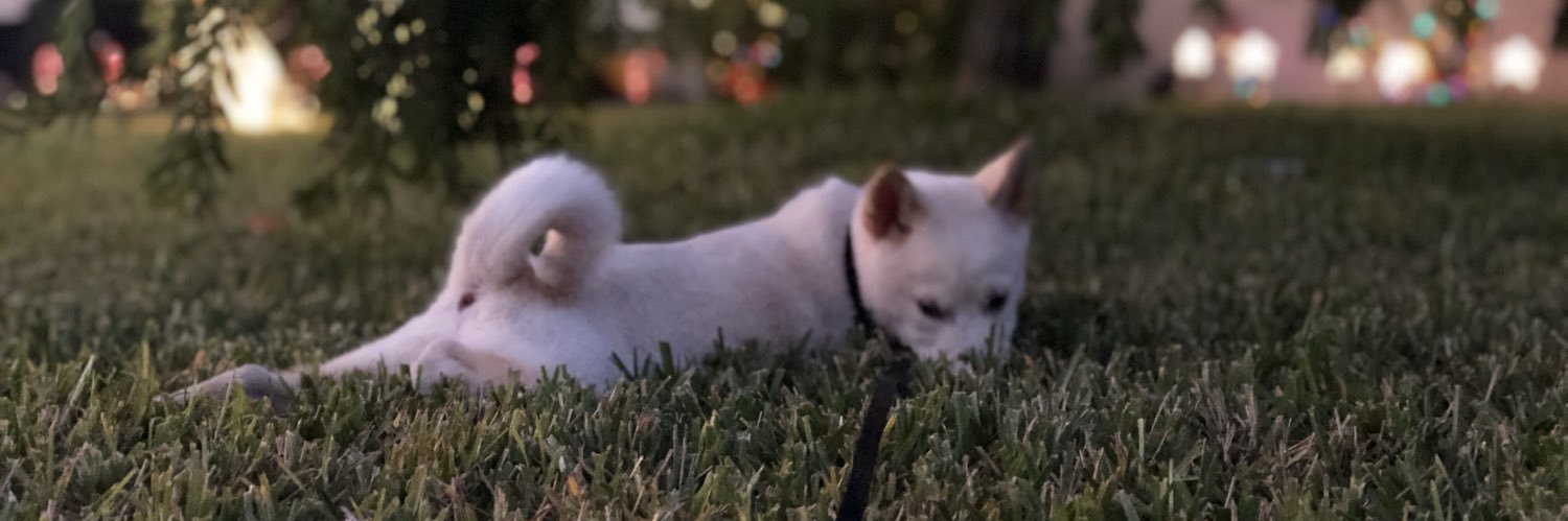 NokkyBo's profile banner image