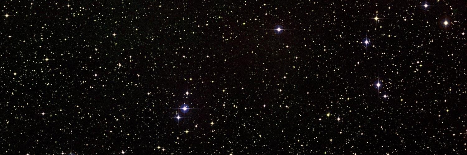 WorldNewOrder's profile banner image
