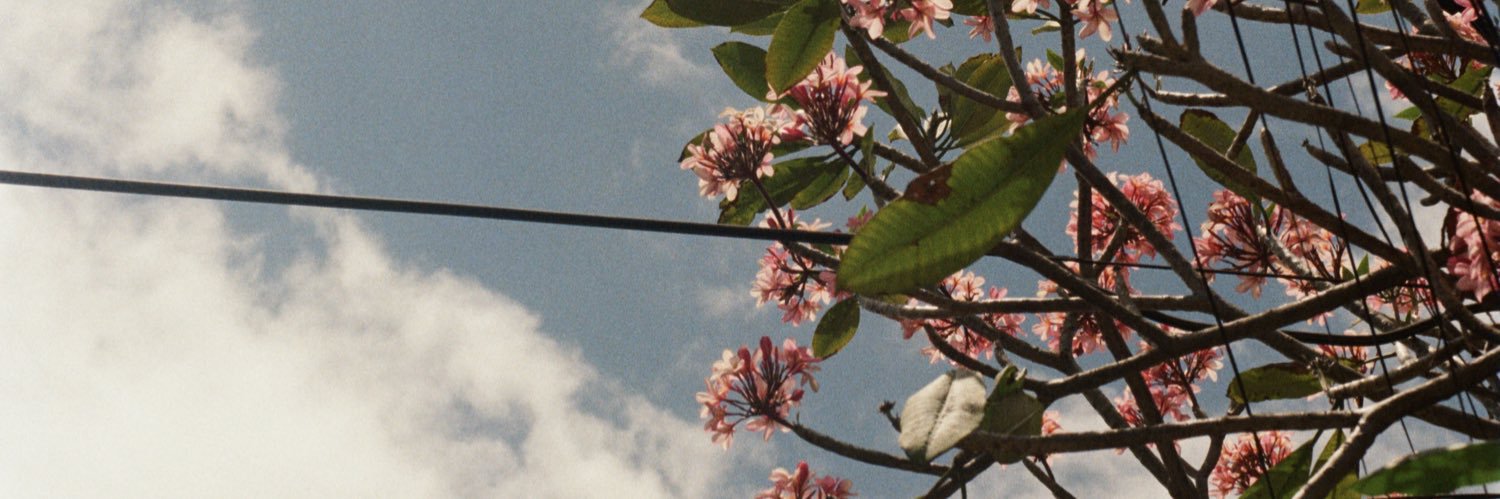 TheWayOfDaWayne's profile banner image