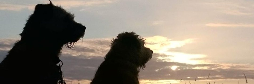 clare0611's profile banner image