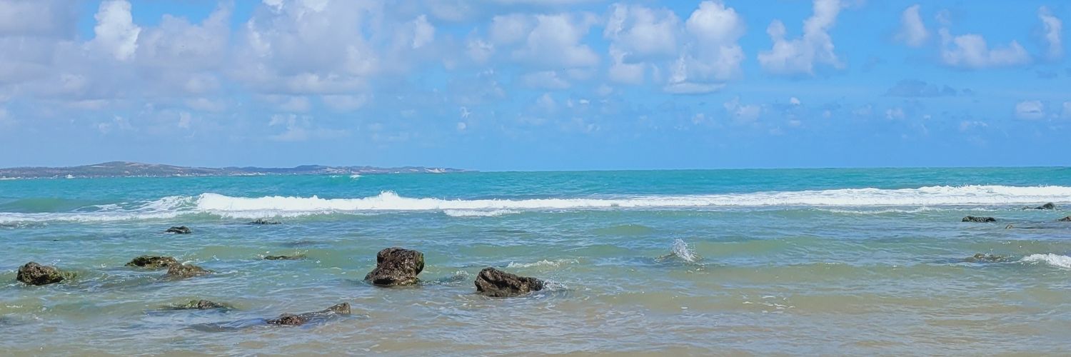danifechine's profile banner image