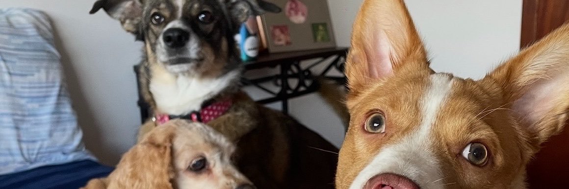 valenmorenoam's profile banner image