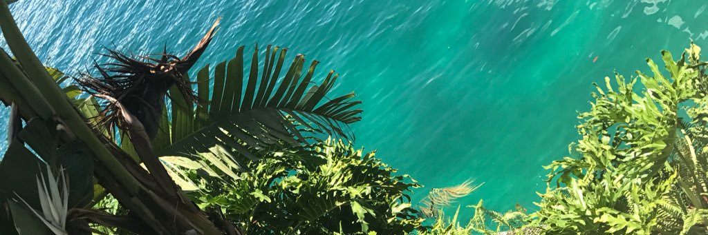 gardenleeaf's profile banner image