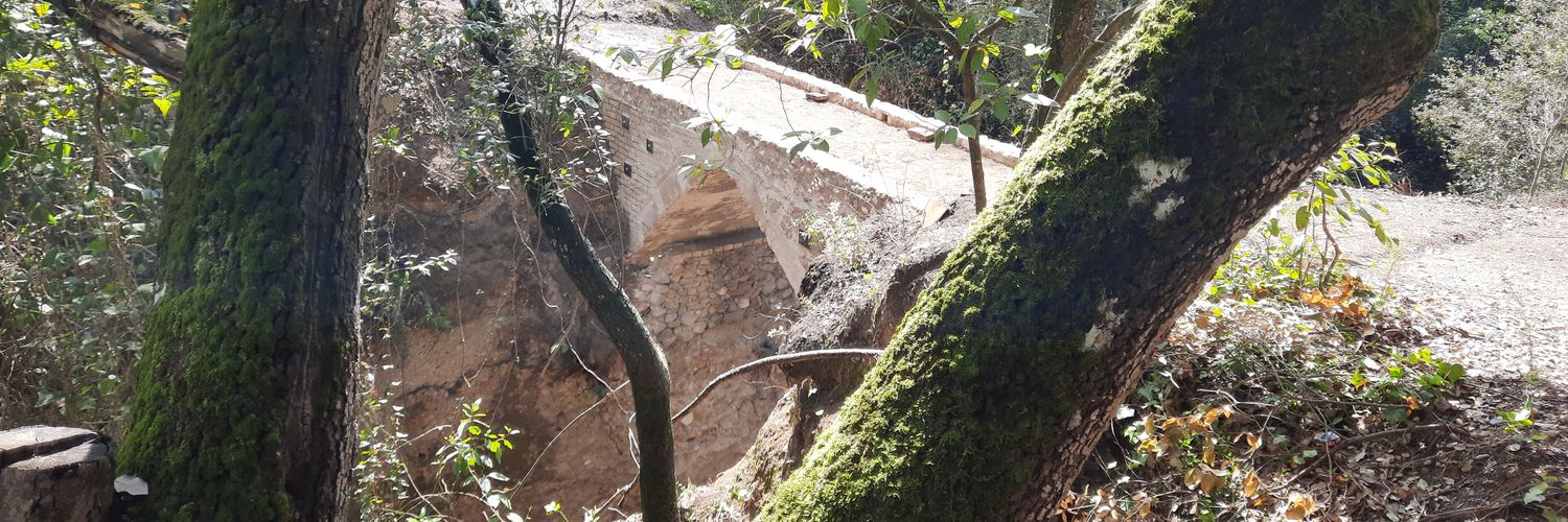 JAUME PUIG 🎗 banner