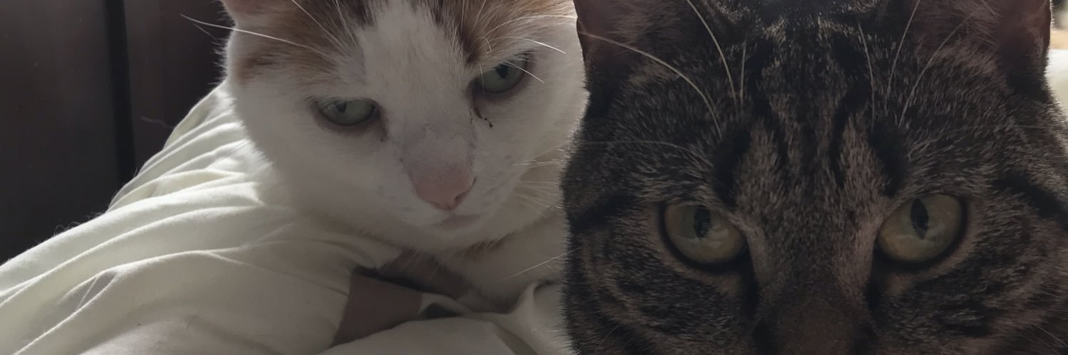 hpatt's profile banner image