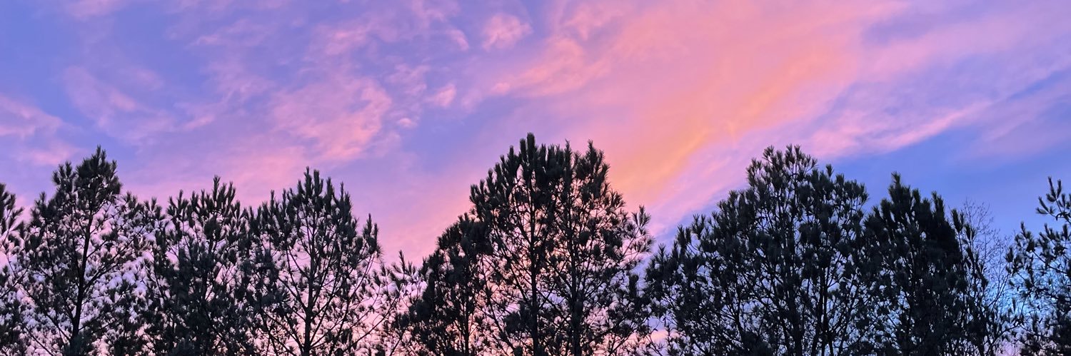 mevdill28's profile banner image