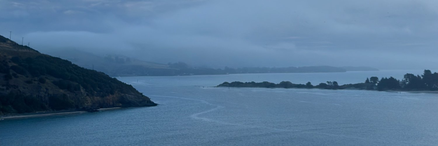 mikemaadarani's profile banner image