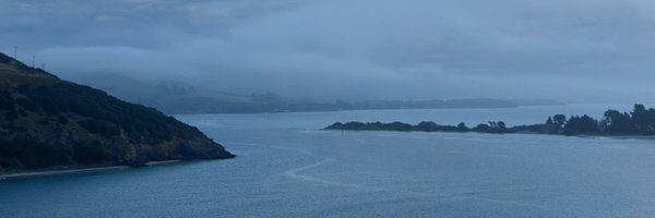 mikemaadarani Profile Banner