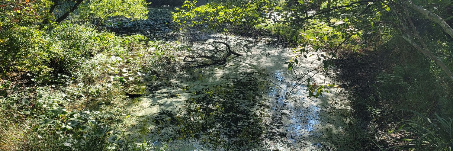 Meteorologist Scott Sincoff banner