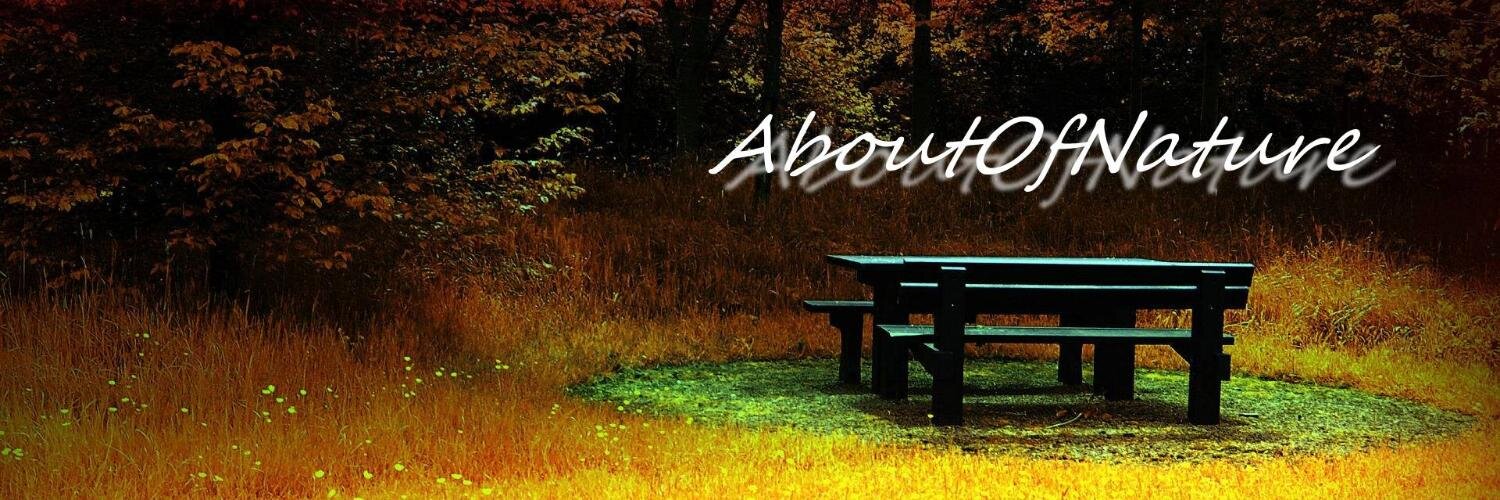 AboutOfNature's profile banner image