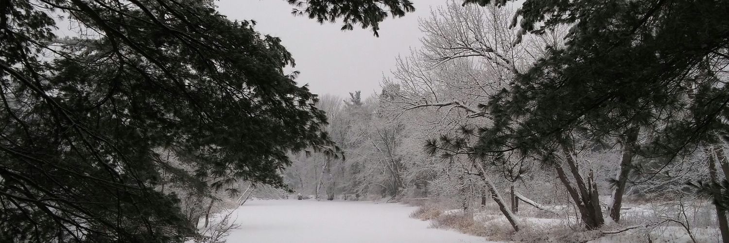 ContryLover96's profile banner image