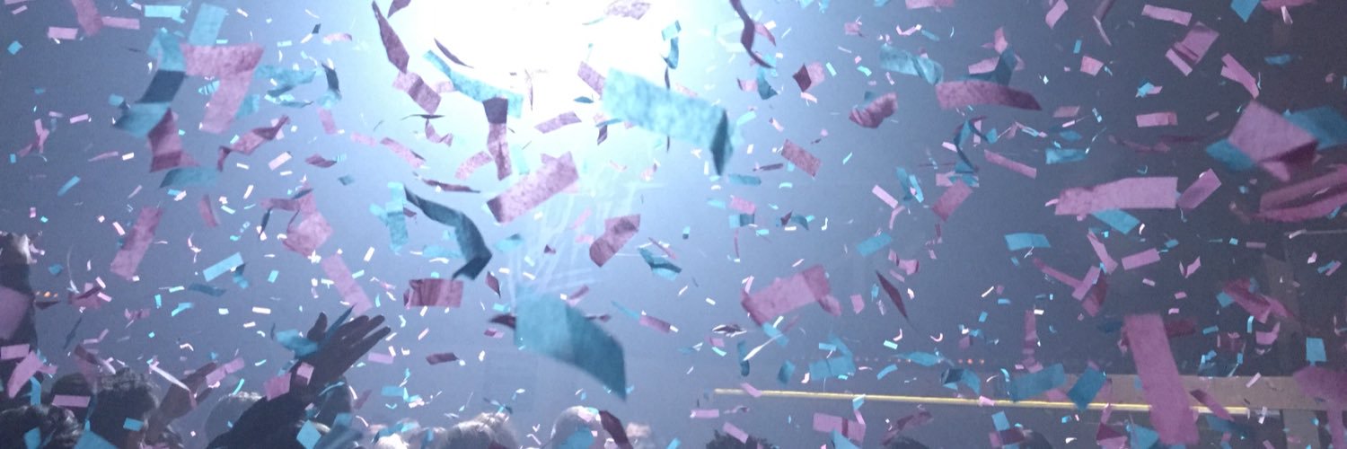 stefaandewinter's profile banner image
