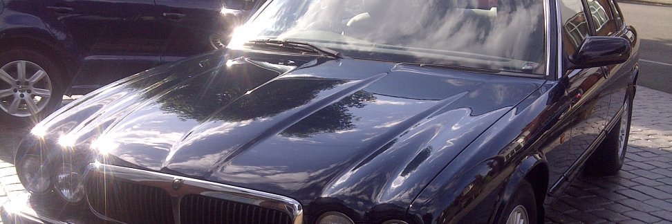 Paul Mc banner