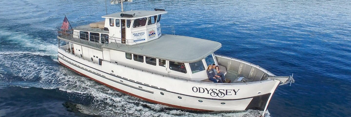 SJExcursions's profile banner image